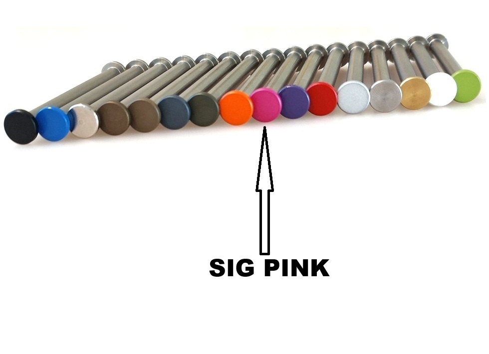 Stanless Steel Recol Gude Rod for Glock 19,17 Gen 3 - Hgh Performance | eBay